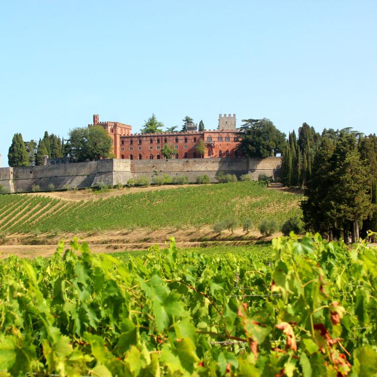 castle in chianti vineyard