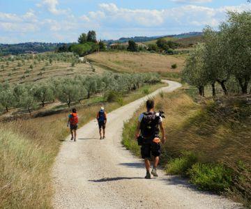 Walking on VIa Francigena in Italy