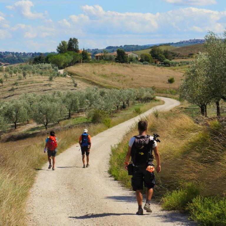 CAMINO AND PILGRIMAGES VIA FRANCIGENA