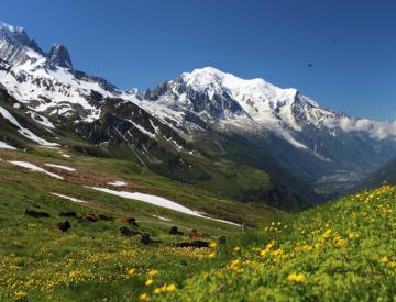 tour de mont blanc image