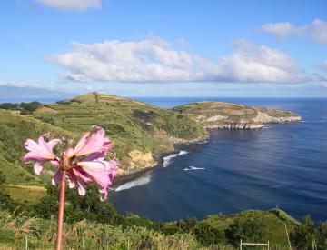 island of sao miguel in the azores islands