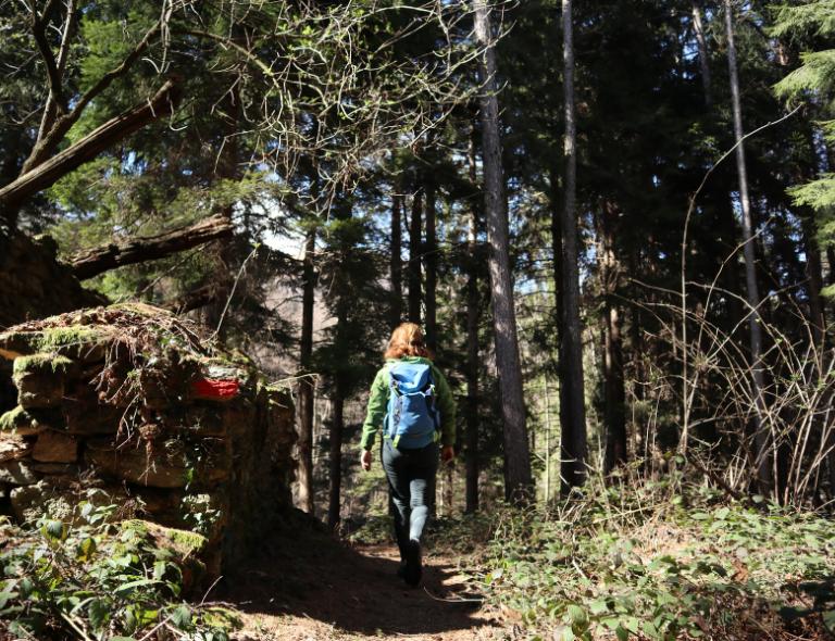 woman walking in the woods of camino de oropa