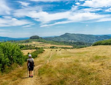 tuscan via francigena homepage