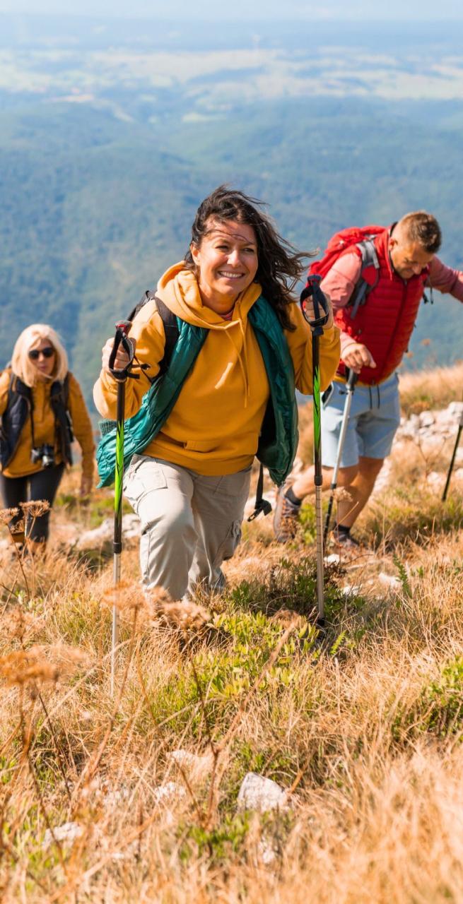 Gruppo di viaggiatori in cammino lungo sentieri panoramici alpini