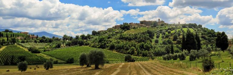 Italy evocative Tuscan vegetative landscape