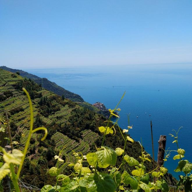 Coastal hiking in Italy along terraced cliffs and blue sea views