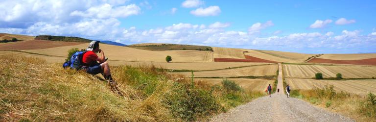 Camino pilgrimage landscape of open fields