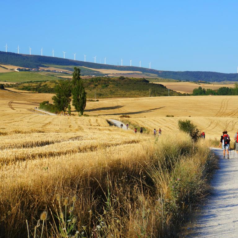 Pilgrims and fields on Camino de Santiago in Spain