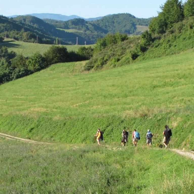 group hiking the saint francis way on path