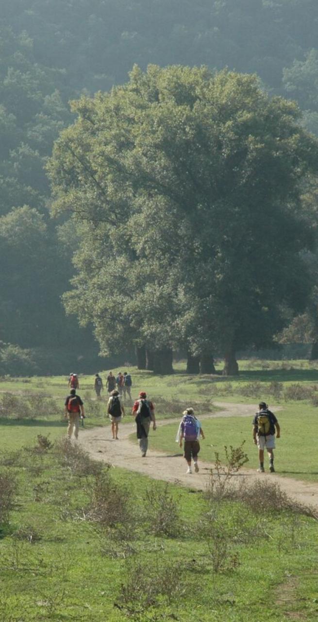 People hiking in flowery path on Via Francigena between Viterbo and Rome 