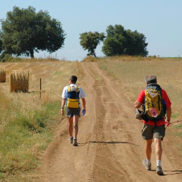 Hikers walking through rural landscapes on the Via Francigena Viterbo to Rome along a dirt path