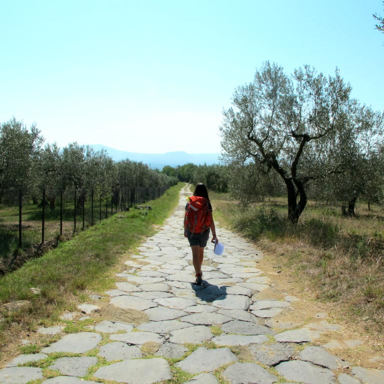 Via Francigena Siena Viterbo
