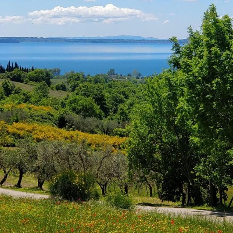 walkers near bolsena lake