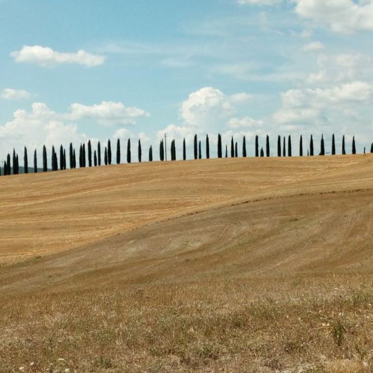 Via Francigena Siena Viterbo