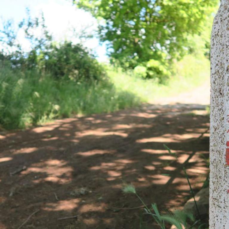 Via Francigena Siena Viterbo