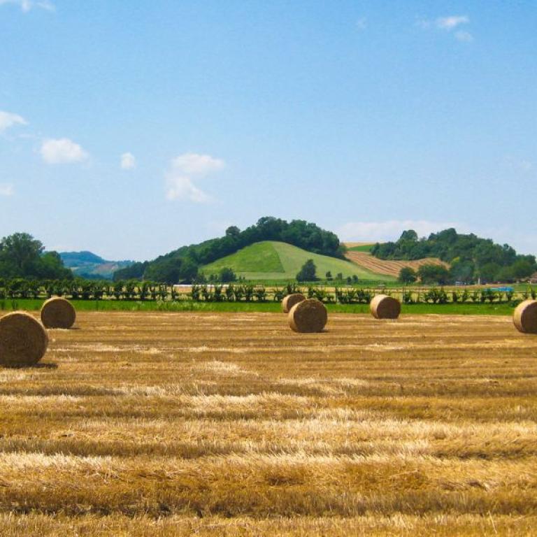 sunny fields between Fidenza and Pontremoli