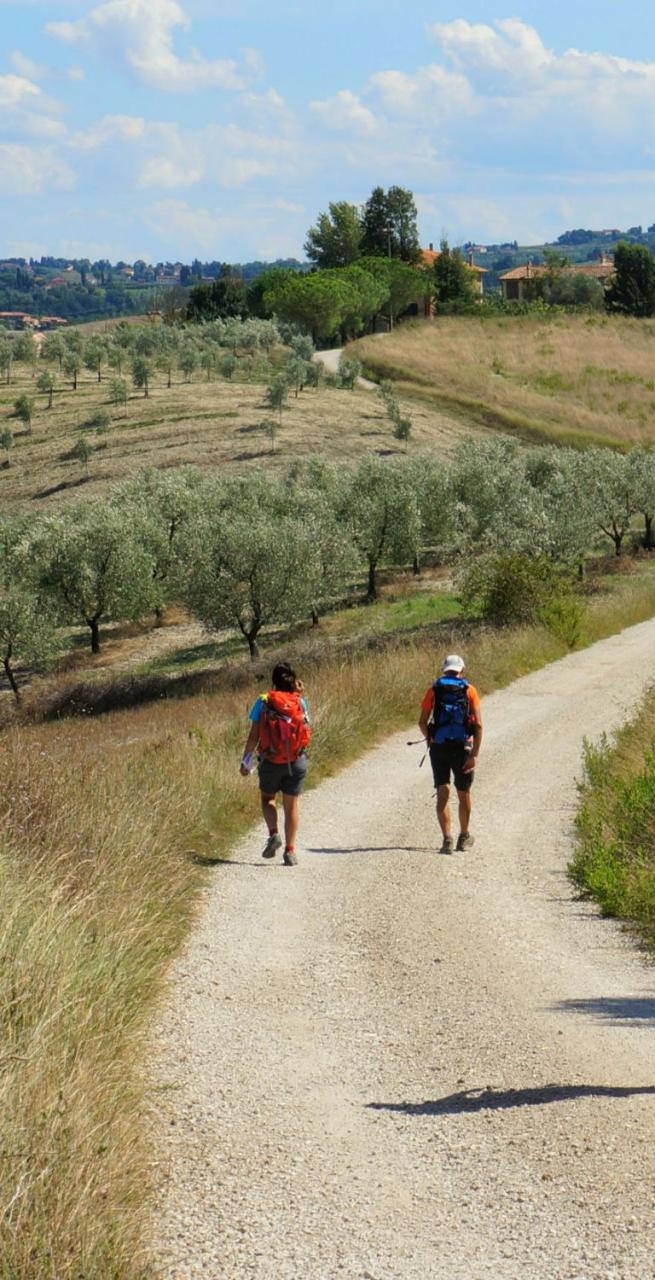 Walkers on Via Francigena path between Lucca and Siena