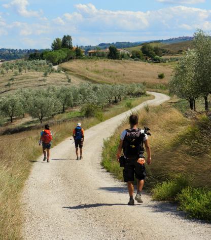 walkers on Via Francigena path from Lucca to Siena