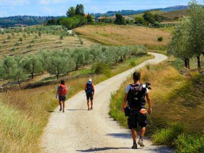VÍA FRANCÍGENA: ETAPA 6, DE LUCCA A SIENA Autoguiado