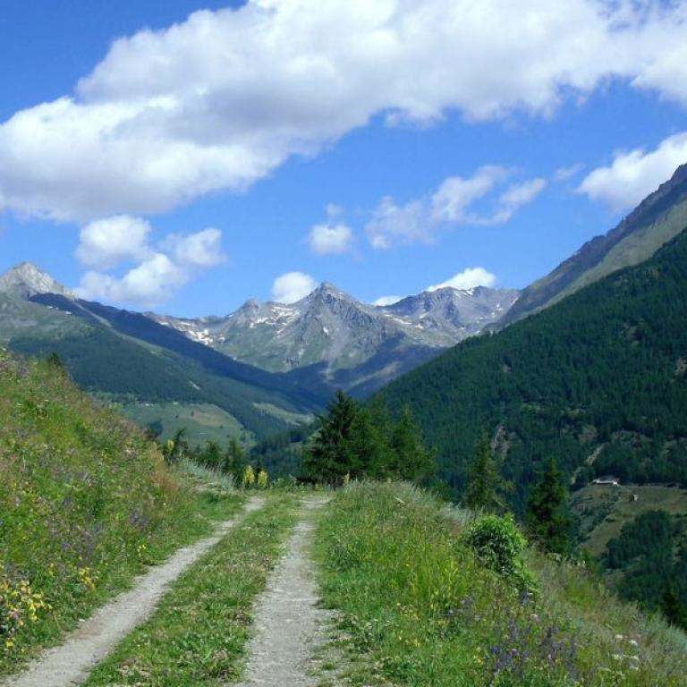 view of path on Via Francigena in Val d'Aosta