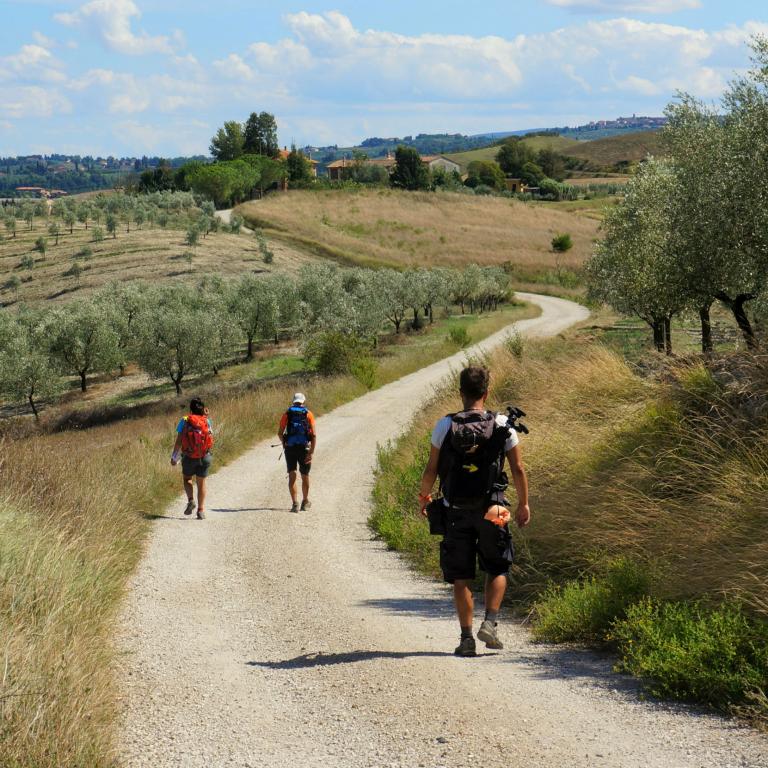 people walking the via francigena in the tuscan countryside