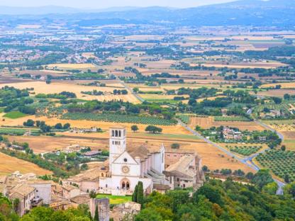 spello seen from a sunflower field
