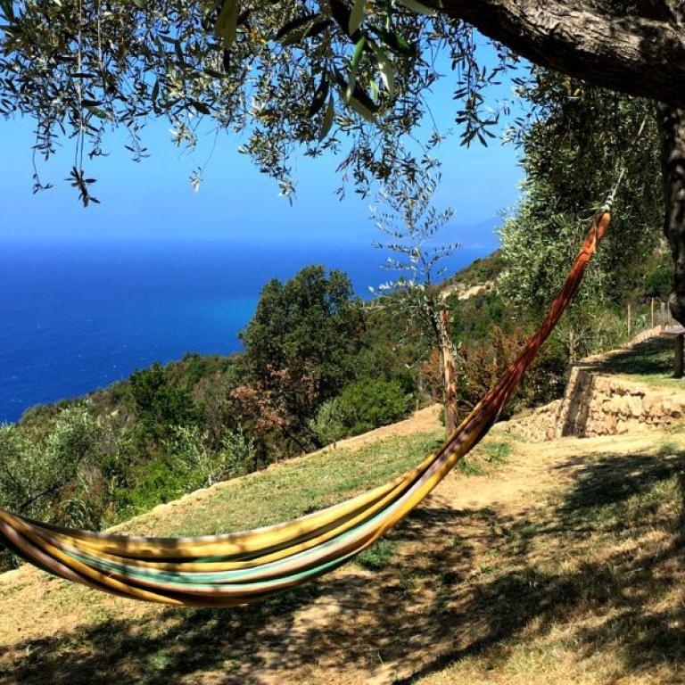 hammock on cinque terre seaside