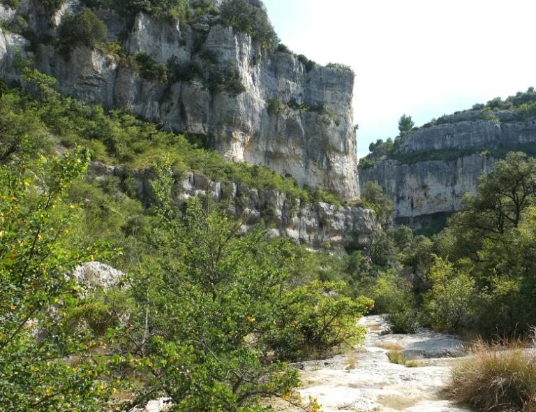 gorge in provence with walking path and trees