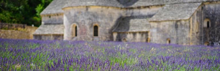 Field of lavender in front of a stone abbey in Provence, a classic scene for Walking Holidays in France