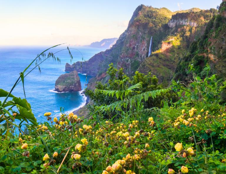 flowers and mountains on the island of Madeira in Portugal