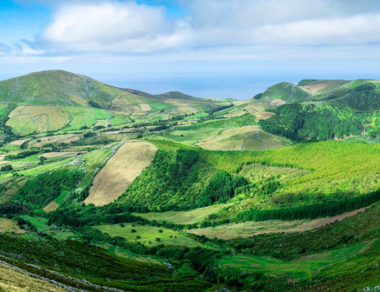 green landscape of azores island in portugal 