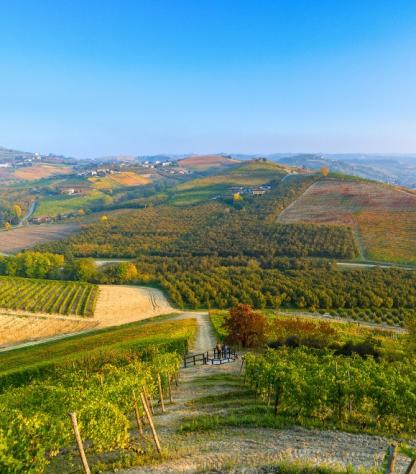 piedmont langhe barolo valley