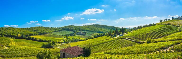 Chianti radda vineyards landscape