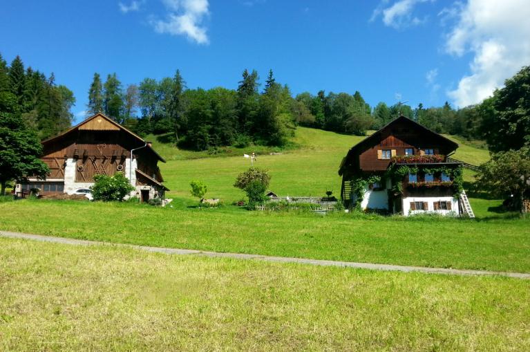 Sentiero del Castagno Sentiero del Castagno