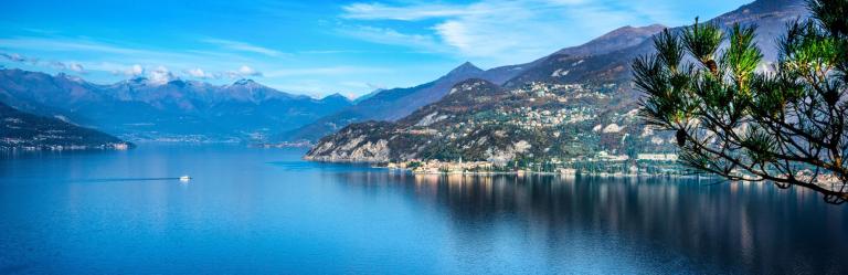 Vista panoramica del Lago di Como con montagne e vegetazione, con un ramo di pino in primo piano