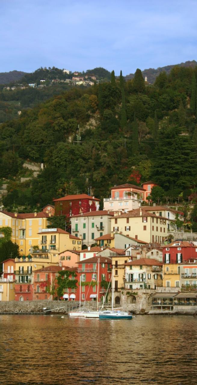 Vista panoramica del Lago di Como con montagne e vegetazione, con un ramo di pino in primo piano