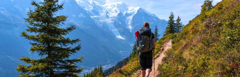 mont blanc landscape and lush vegetation