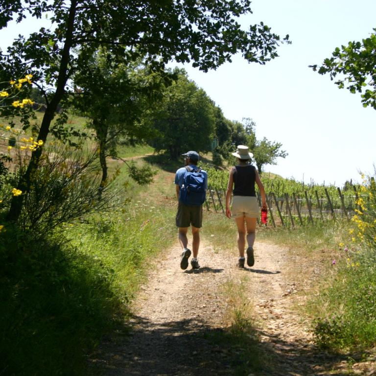 couple walking the path in val d'orcia