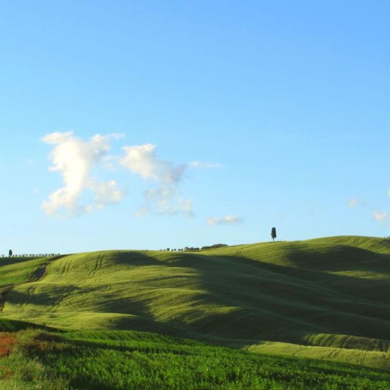 green and lush hills of val d'orcia