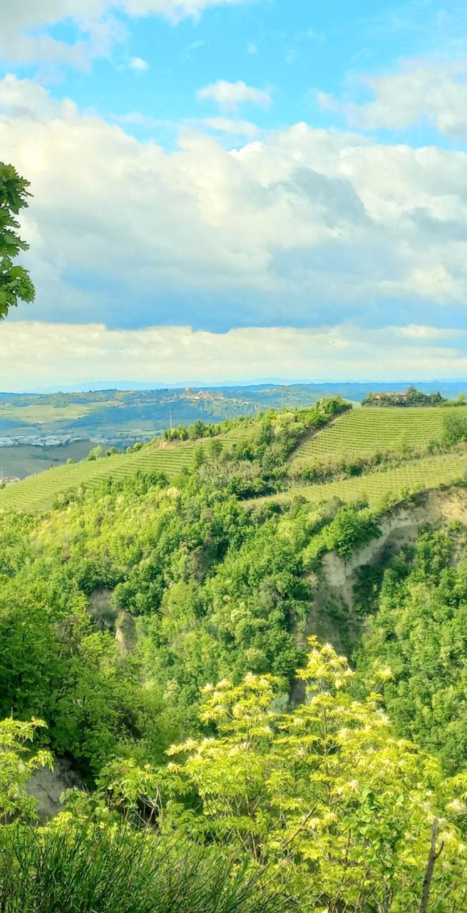 Langhe: in Piedmont, Barolo to Barbaresco