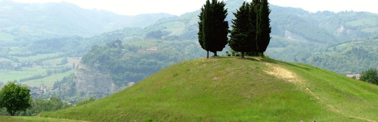Green hill adorned with cypress trees Via degli Dei 