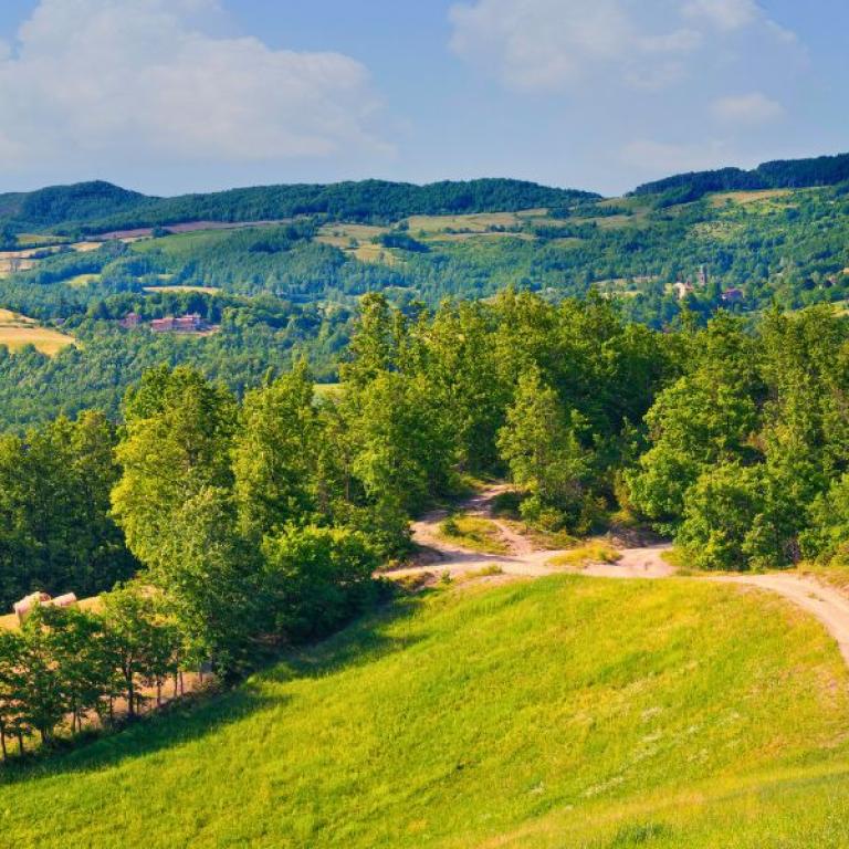 panorama su pascoli e campi coltivati sugli appennini lungo la via degli dei