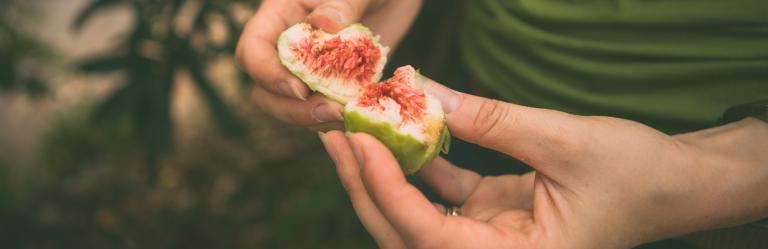 sustainability page fruits