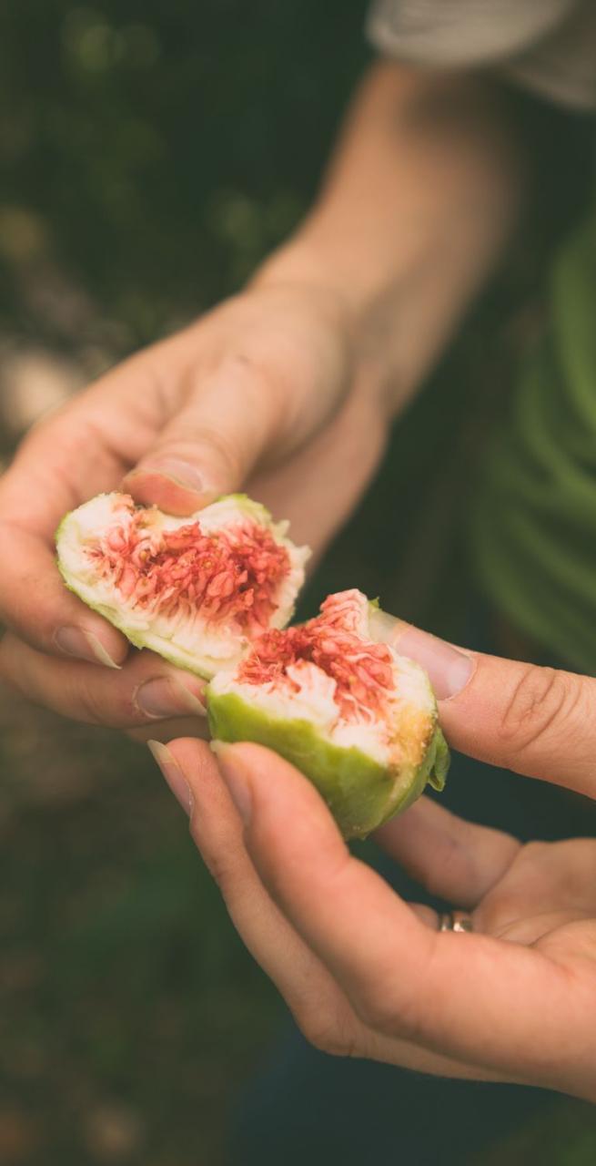 sustainability page fruits