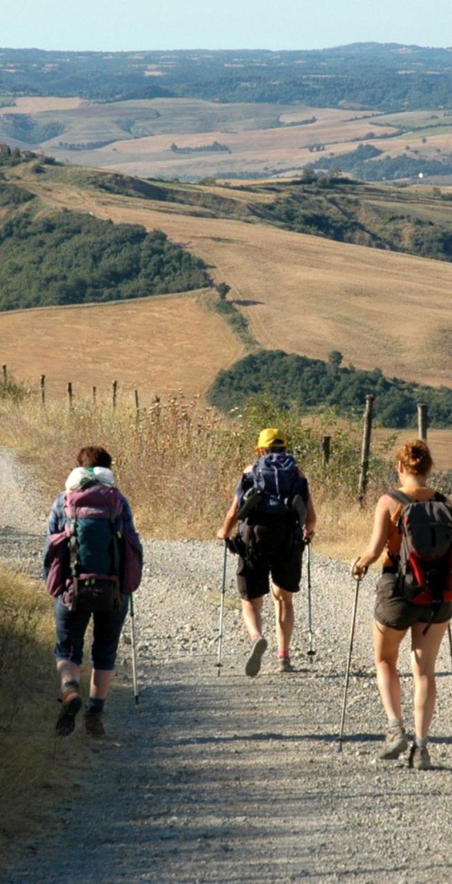 Pellegrini in cammino lungo la Via Francigena sotto un cielo azzurro accanto a un indicazione del sentiero