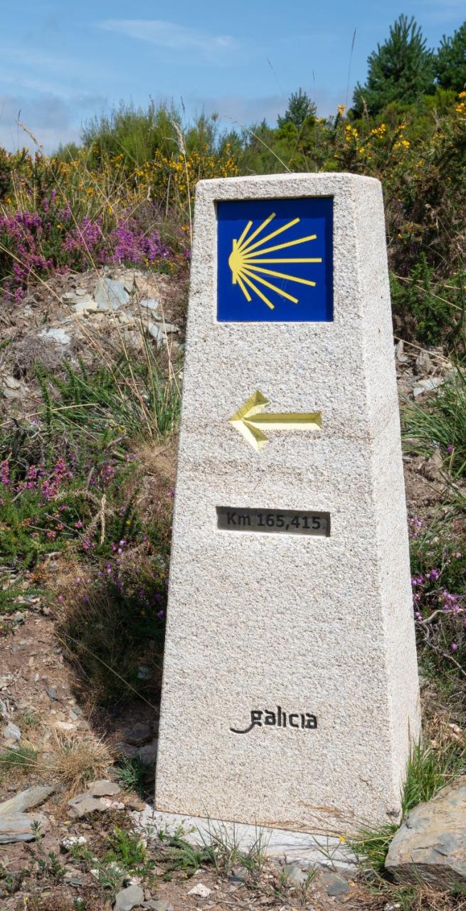 Camino de Santiago sunshine fields spanish pilgrims