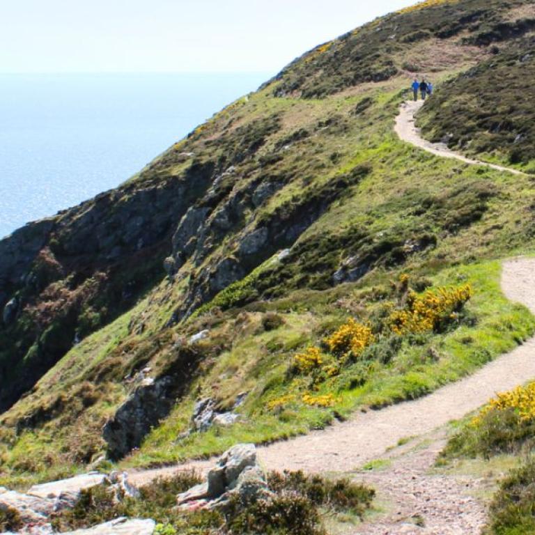 Camino de Santiago seaside northern path flowers