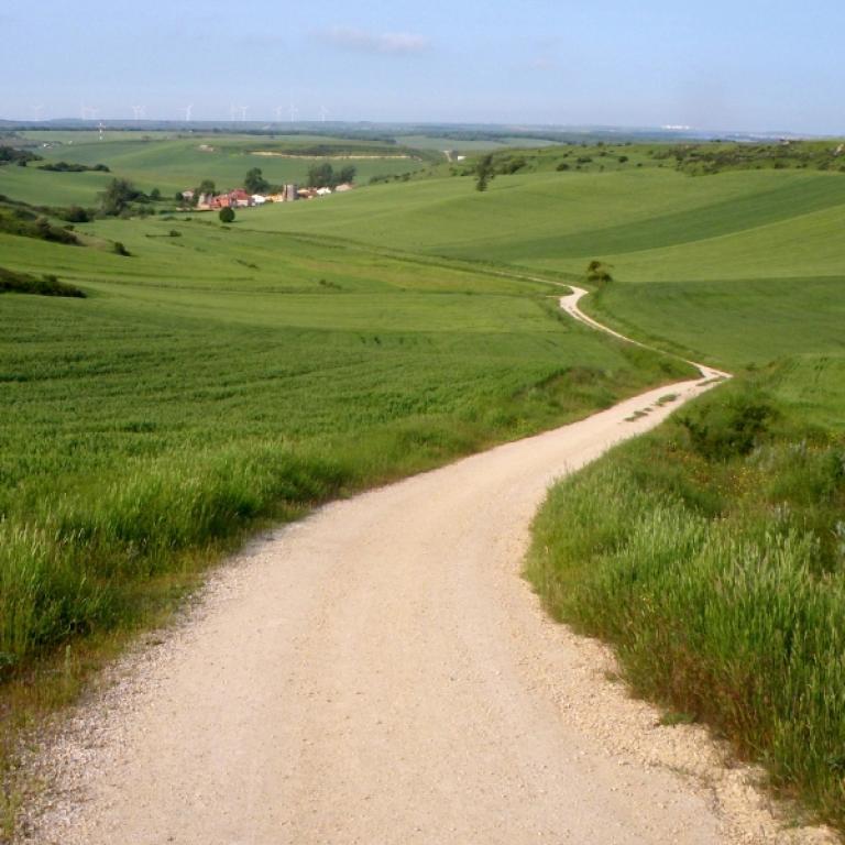 Rural landscape and dirt trail along the Camino de Santiago