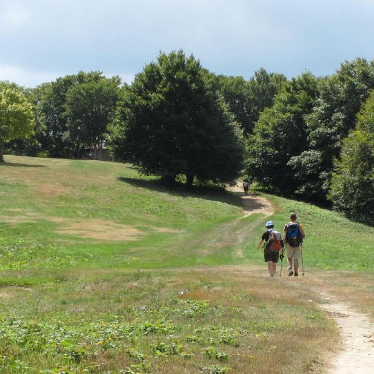 hikers in countryside Saint Francis Way Verna Città di Castello