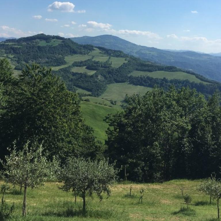 Via degli Dei Breve da Sasso Marconi a San Piero A Sieve paesaggio verde